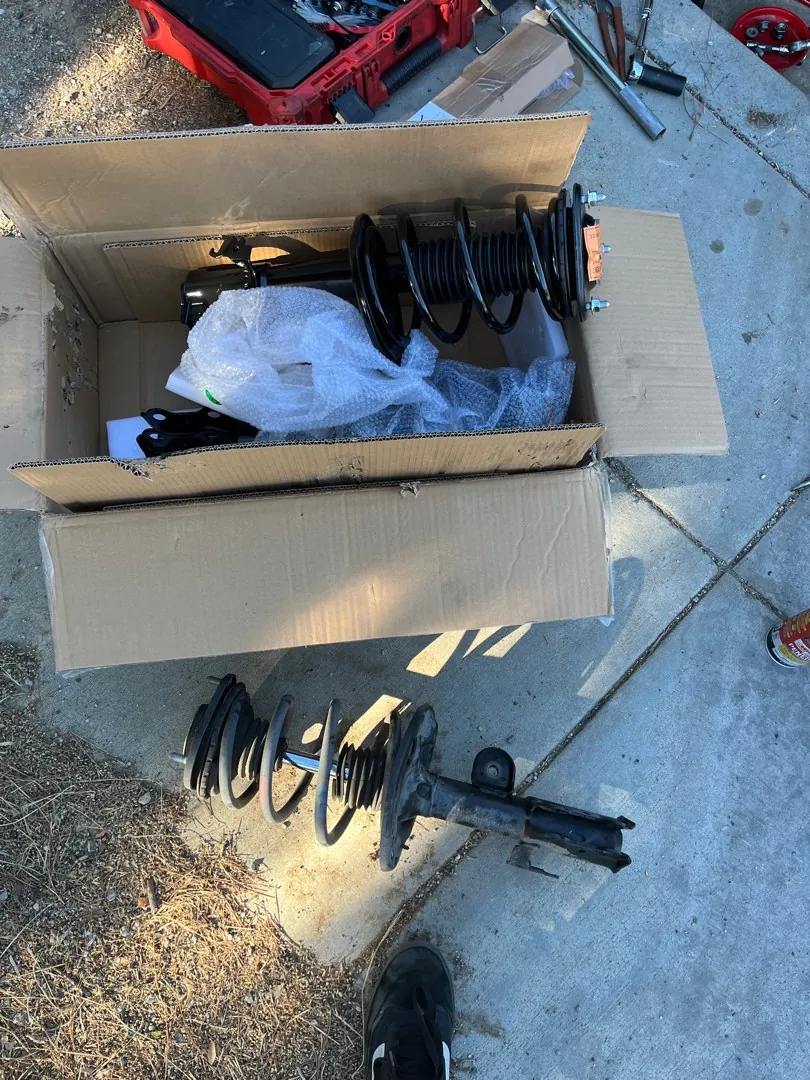 New struts in the box.